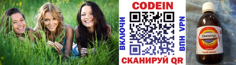 где купить наркотик  Кизилюрт  Кодеиновый сироп Lean Purple Drank 