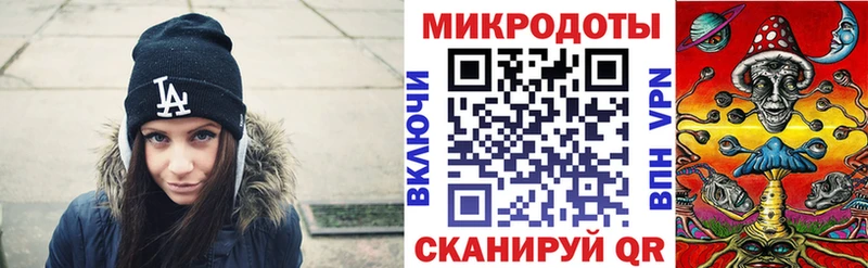 как найти   Кизилюрт  Галлюциногенные грибы Psilocybe 