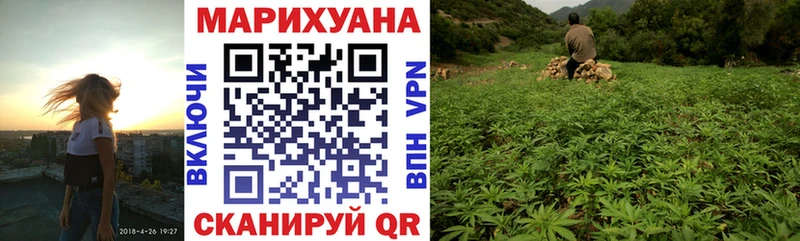 Конопля Ganja  Кизилюрт 